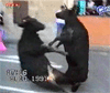 accident de travail